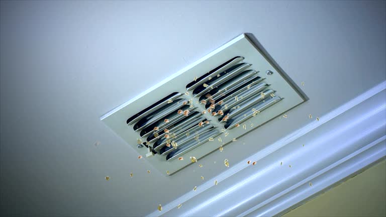 HVAC Maintenance and Cleaning in NE